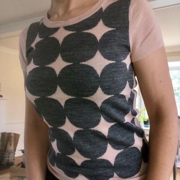 The Limited Pink Gray Short Sleeve Sweater Top Women’s XS Fall Layering Piece - Picture 2 of 9